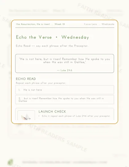 Grade 3 · Week 17 lesson preview 3