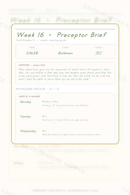 Kindergarten Week 15 Preceptor Guide page preview