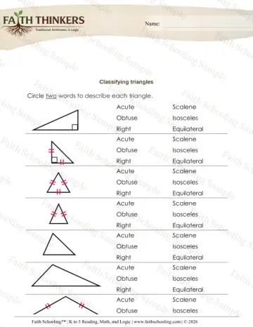 3rd Grade math worksheet — Polygons and Classifying Shapes. Geometry Classify Triangles 2