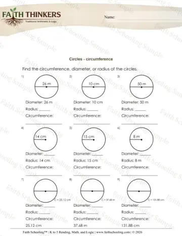 4th Grade math worksheet — Geometry Circles Circumference 8