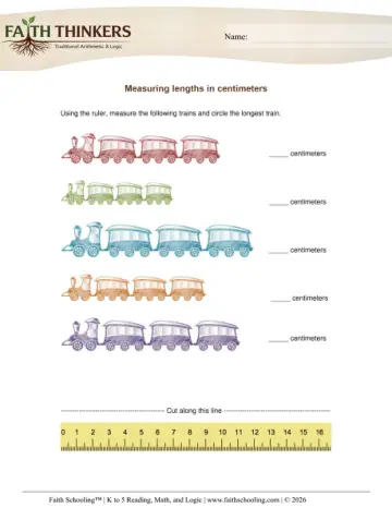 Measurement Ruler Cm 1