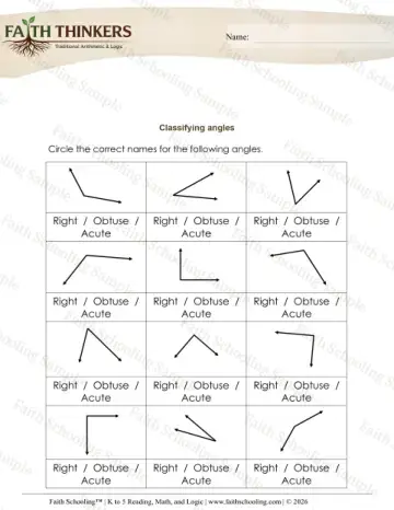 3rd Grade math worksheet — Polygons and Classifying Shapes. Geometry Classifying Angles 6
