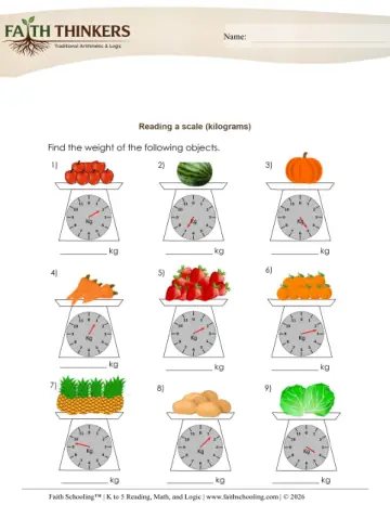 Weight Reading Scale Metric 2