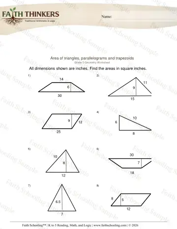 5th Grade math worksheet — Perimeter and Area. Area of Triangles Parallelograms Trapezoids 2