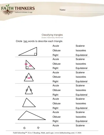 Grade 3 Math: Polygons Classifying Shapes — worksheet preview