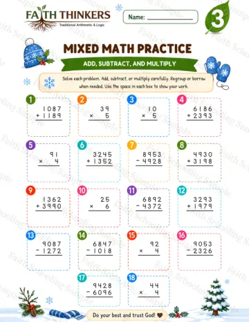 3rd Grade math worksheet — Winter Mixed Practice 5