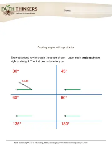 Grade 3 Math: Angles — worksheet preview