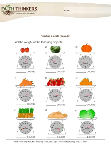 Weight Reading Scale 2