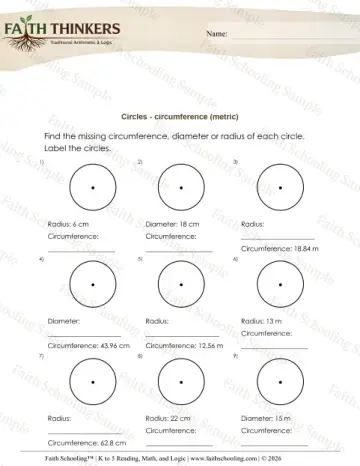 5th Grade math worksheet — Geometry Circles Circumference 8