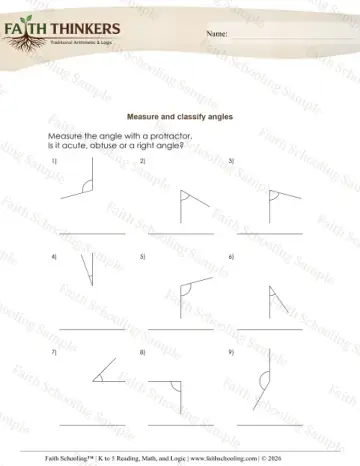5th Grade math worksheet — 2D and 3D Shapes. Geometry Classify Measure Angles 4