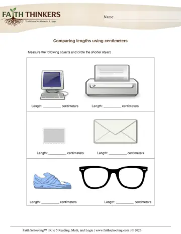 Grade 1 Math: Comparing Ordering Sizes — worksheet preview