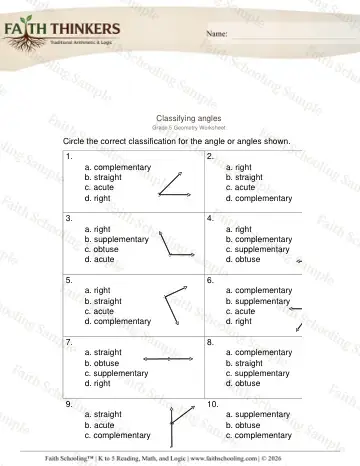 5th Grade math worksheet — 2D and 3D Shapes. Geometry Classifying Angles 2