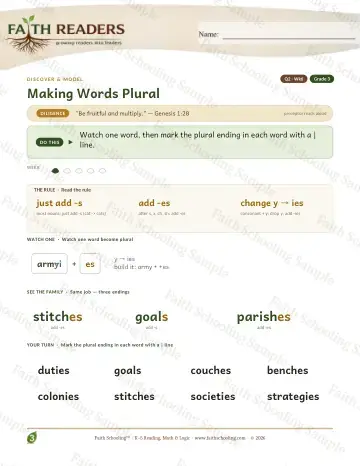 3rd Grade vocabulary & word study worksheet — Making Words Plural — Lesson (Practice 6)