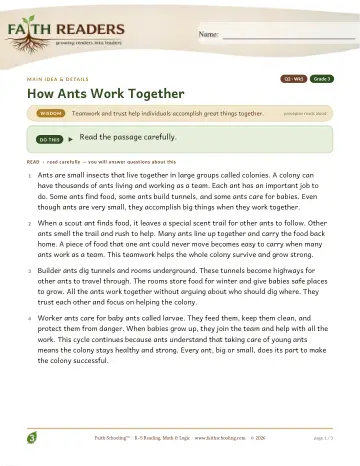 Grade 3 Reading Comprehension & Fluency: Main Idea And Details — worksheet preview