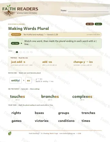 3rd Grade vocabulary & word study worksheet — Making Words Plural — Lesson (Practice 5)