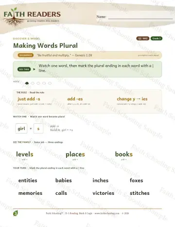 3rd Grade vocabulary & word study worksheet — Making Words Plural — Lesson (Practice 3)
