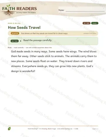 1st Grade reading comprehension worksheet — Reading Comprehension — Read And Recall (Practice 2) (Practice 3)