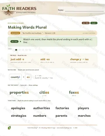 3rd Grade vocabulary & word study worksheet — Making Words Plural — Lesson (Practice 4)