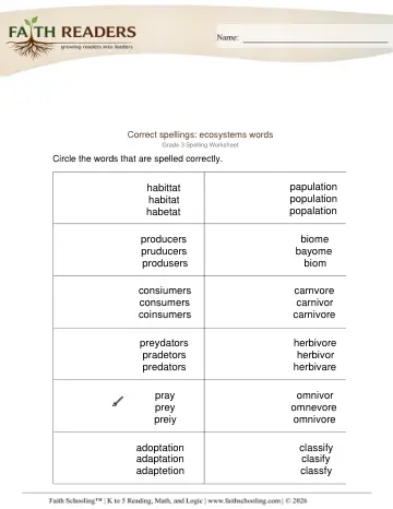 Grade 3 Phonics, Decoding & Spelling Patterns: Spelling Practice — worksheet preview