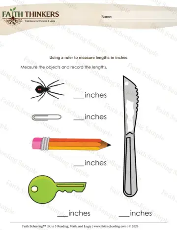 Kindergarten early learning worksheet — Measuring with a Ruler. Measurement Ruler Inches