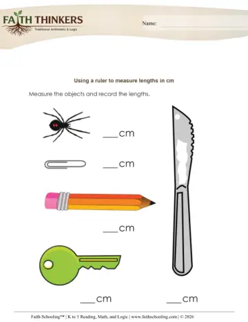 Measurement Ruler Cm