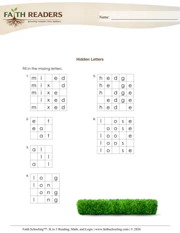 Hidden Letters (Practice Set 4)