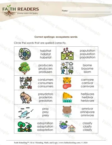 3rd Grade phonics worksheet — Correct Spelling Word (Practice Set 7)