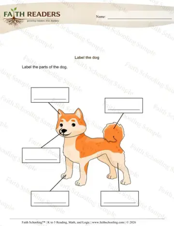 Kindergarten grammar & writing worksheet — Labeling. Labelling (Practice Set 3)