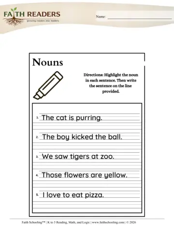 Grammar Nouns (Practice Set 6)
