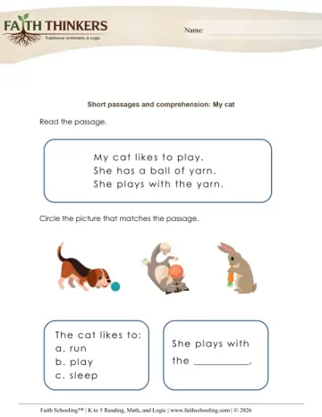 Short Passages Comprehension (Practice Set 1)