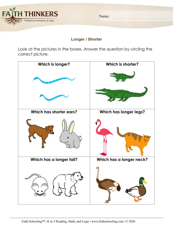 Comparing Ordering Sizes worksheet sample
