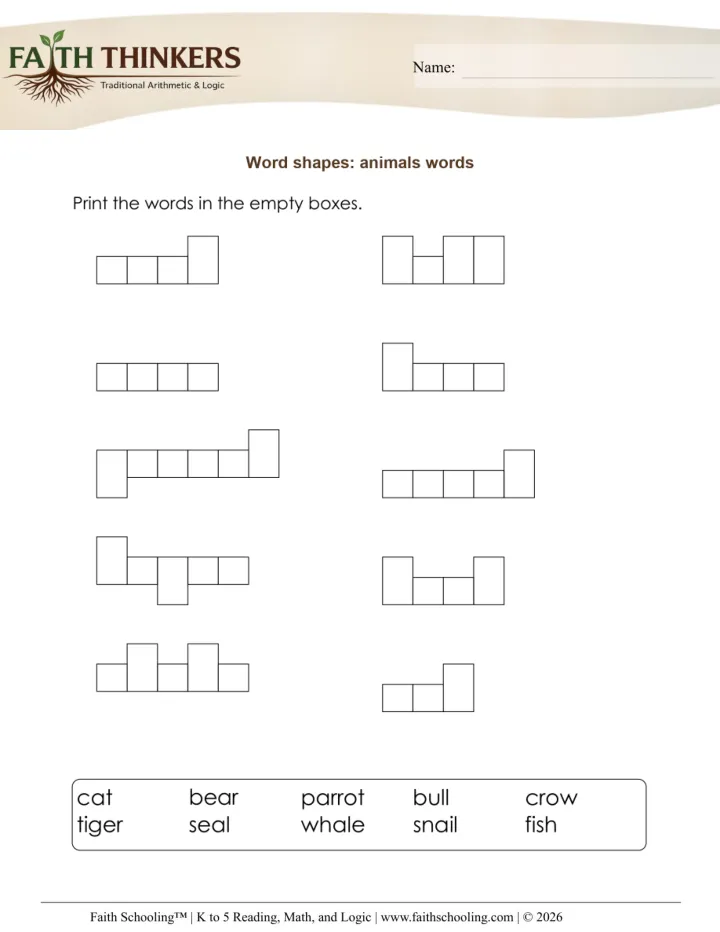 2D Shapes worksheet sample