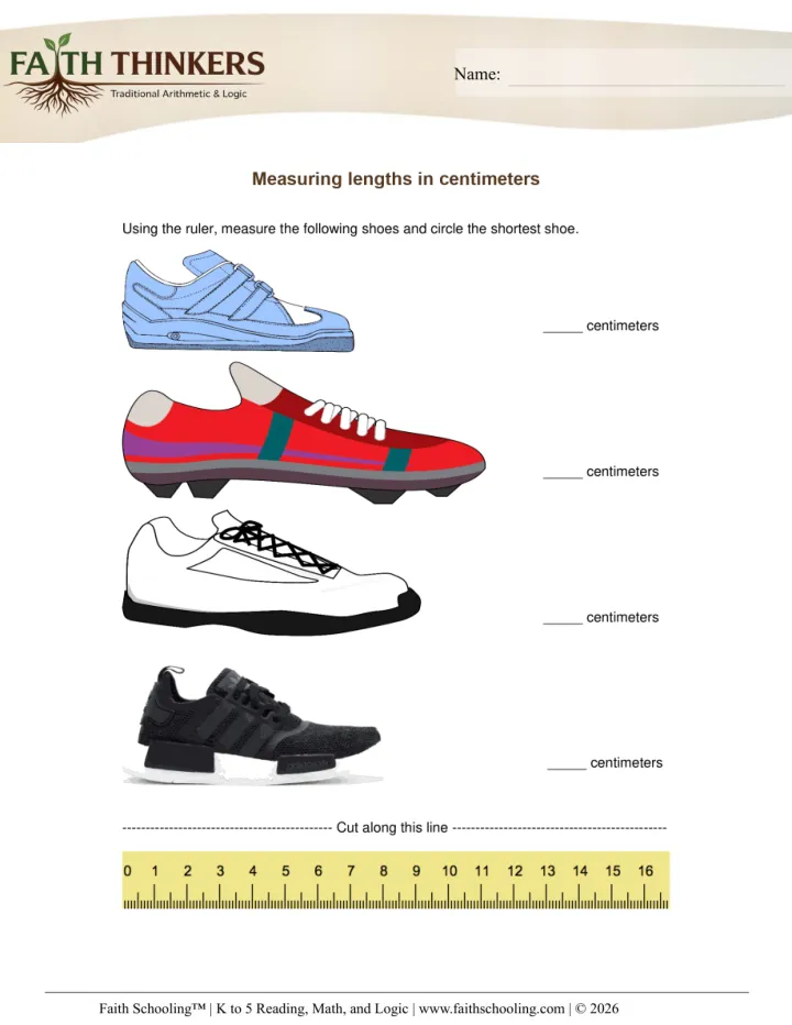 Measuring Length worksheet sample